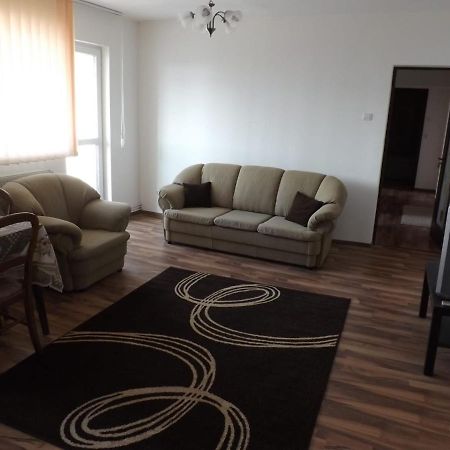 Apartamento Mountain View Cîmpulung Exterior foto