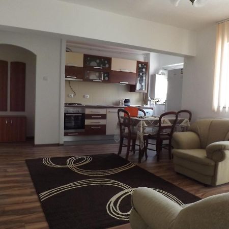 Apartamento Mountain View Cîmpulung Exterior foto